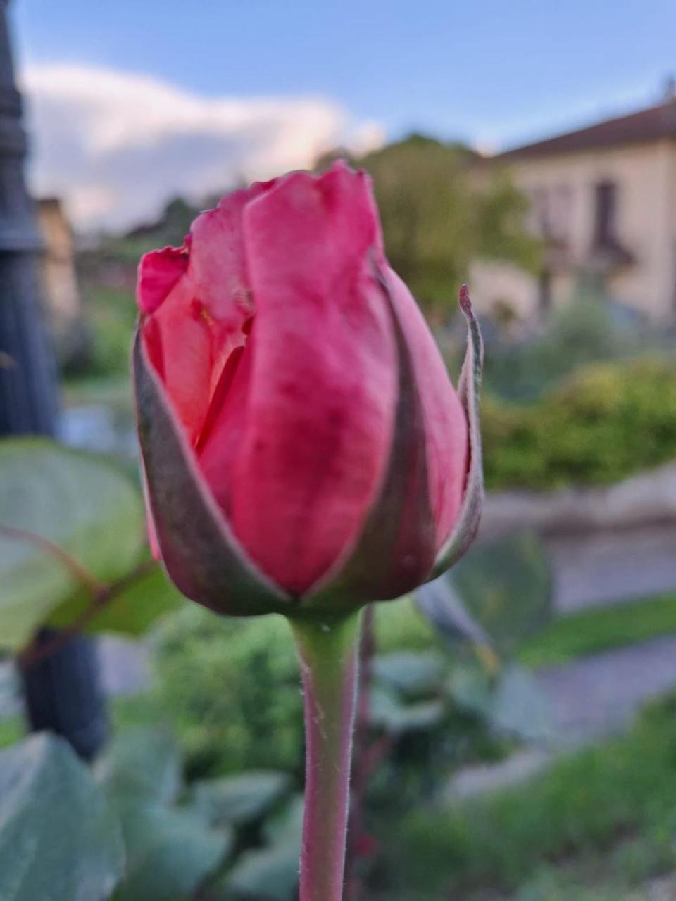 B&B Le Rose Di Paola Santa Maria a Monte Екстер'єр фото